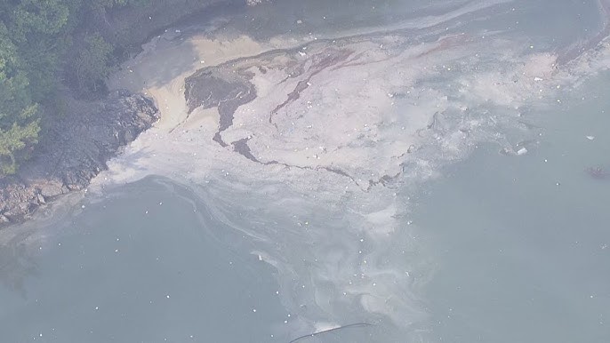 【速報】自衛隊の練習機が池に墜落したか　通報相次ぐ　愛知・犬山市の入鹿池
